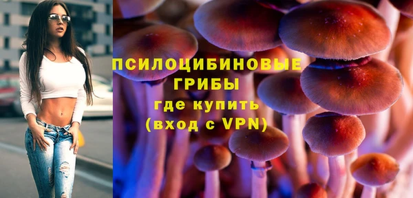 дживик Абаза