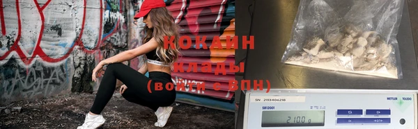 дживик Абаза