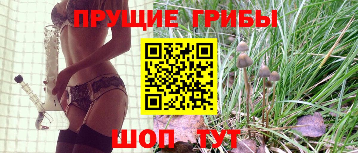 Братск  Псилоцибиновые грибы прущие грибы  Вход с VPN 