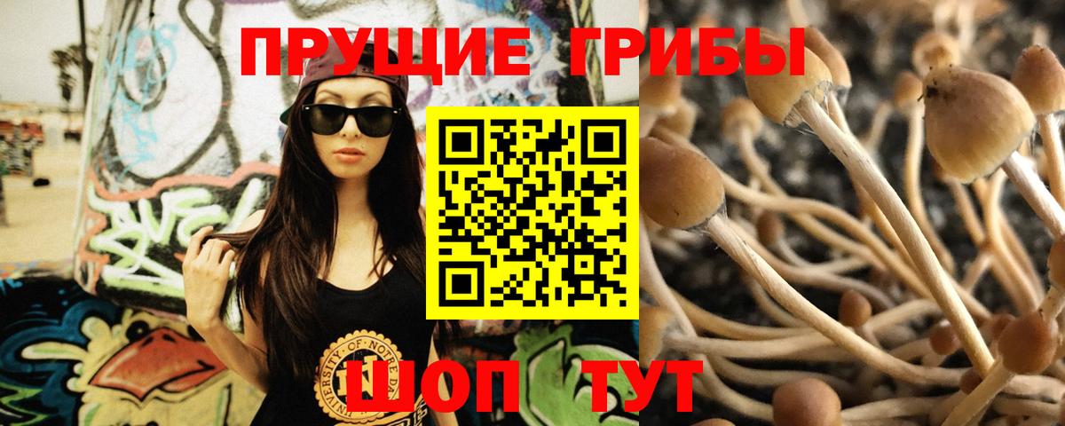 Галлюциногенные грибы прущие грибы Братск